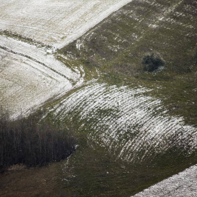 A snowfall (07)
